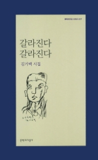 갈라진다 갈라진다 (문학과지성 시인선 417)